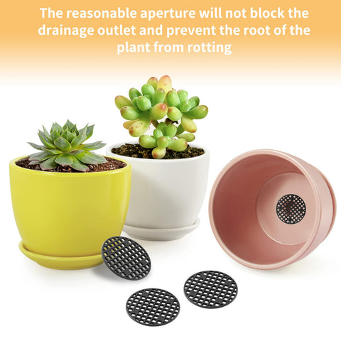 Bivethoi round mesh screen bottom grid keeps pot drainage steady.