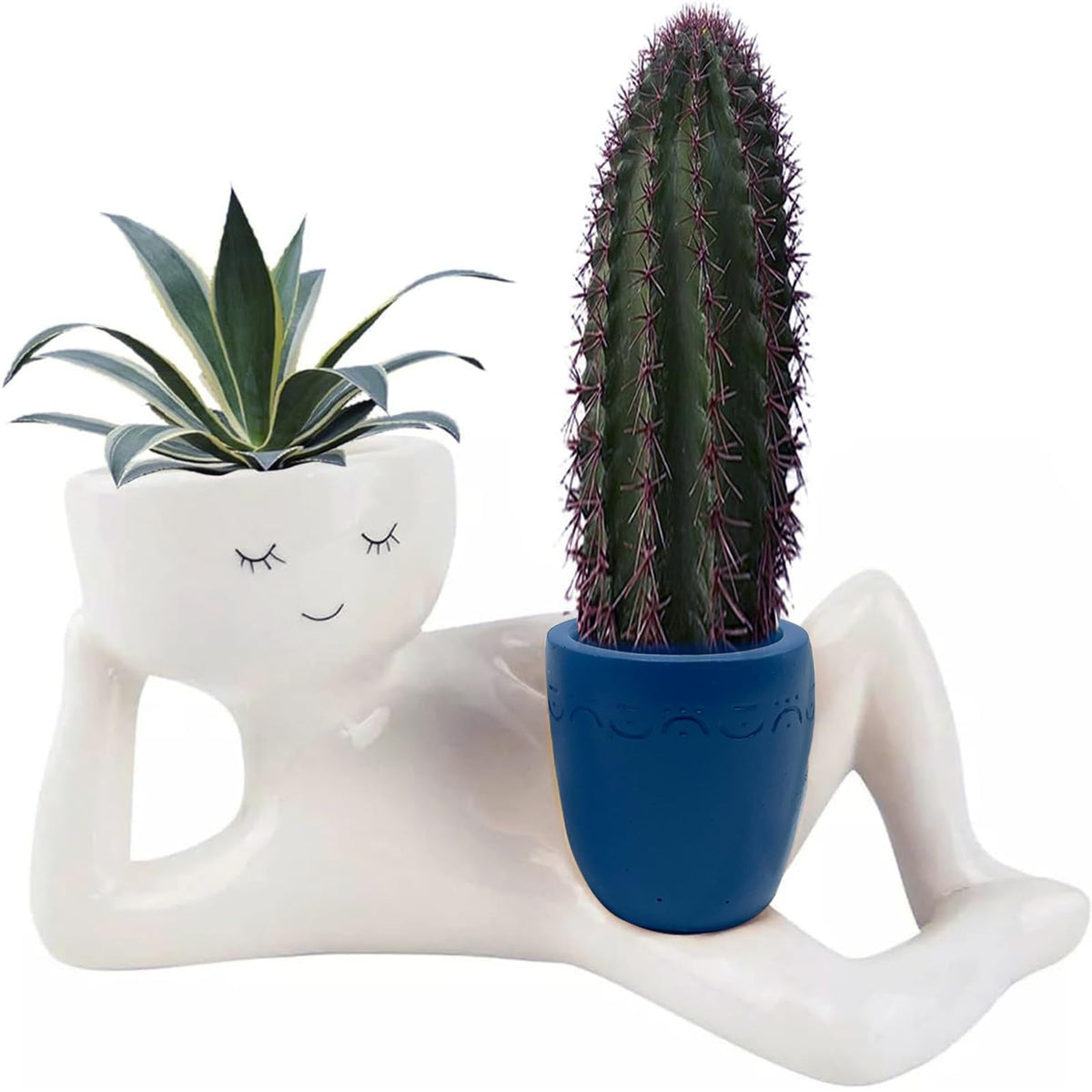 Bivpreom funny face pot lying down, ideal for small succulents and cacti.