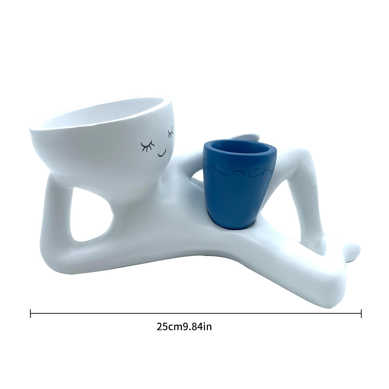 Bivpreom resin plant pot suitable for succulents, durable and fade-resistant.