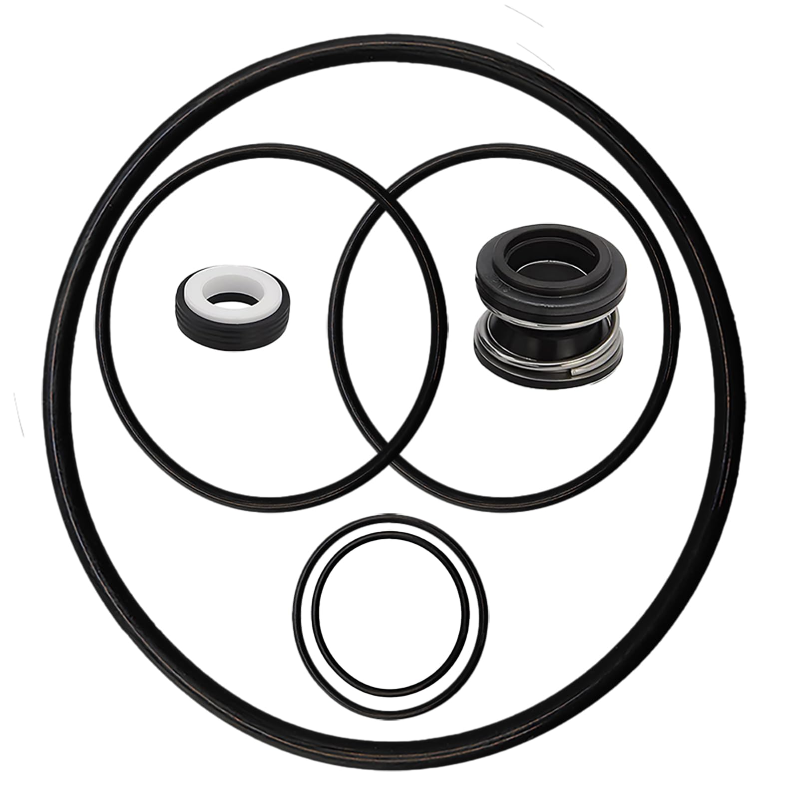 Bizhala PS-200 pool pump seal kit for maintenance and leak prevention