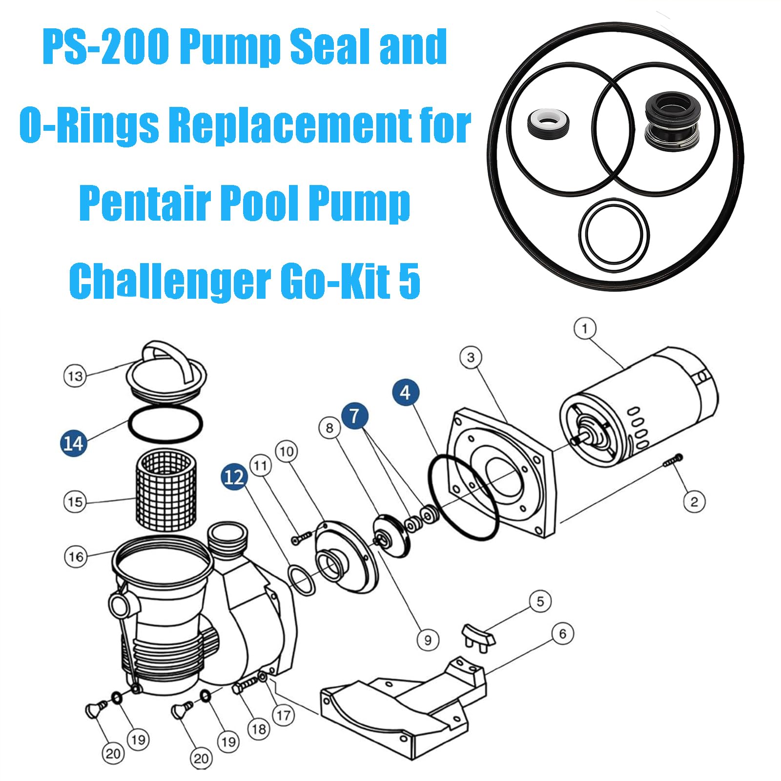 Bizhala pump union O-ring compatible with Challenger pumps