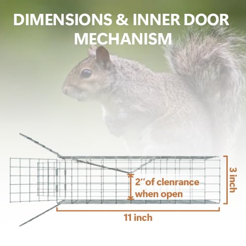 Copper mesh detail from BKALEME showing durable rodent exclusion