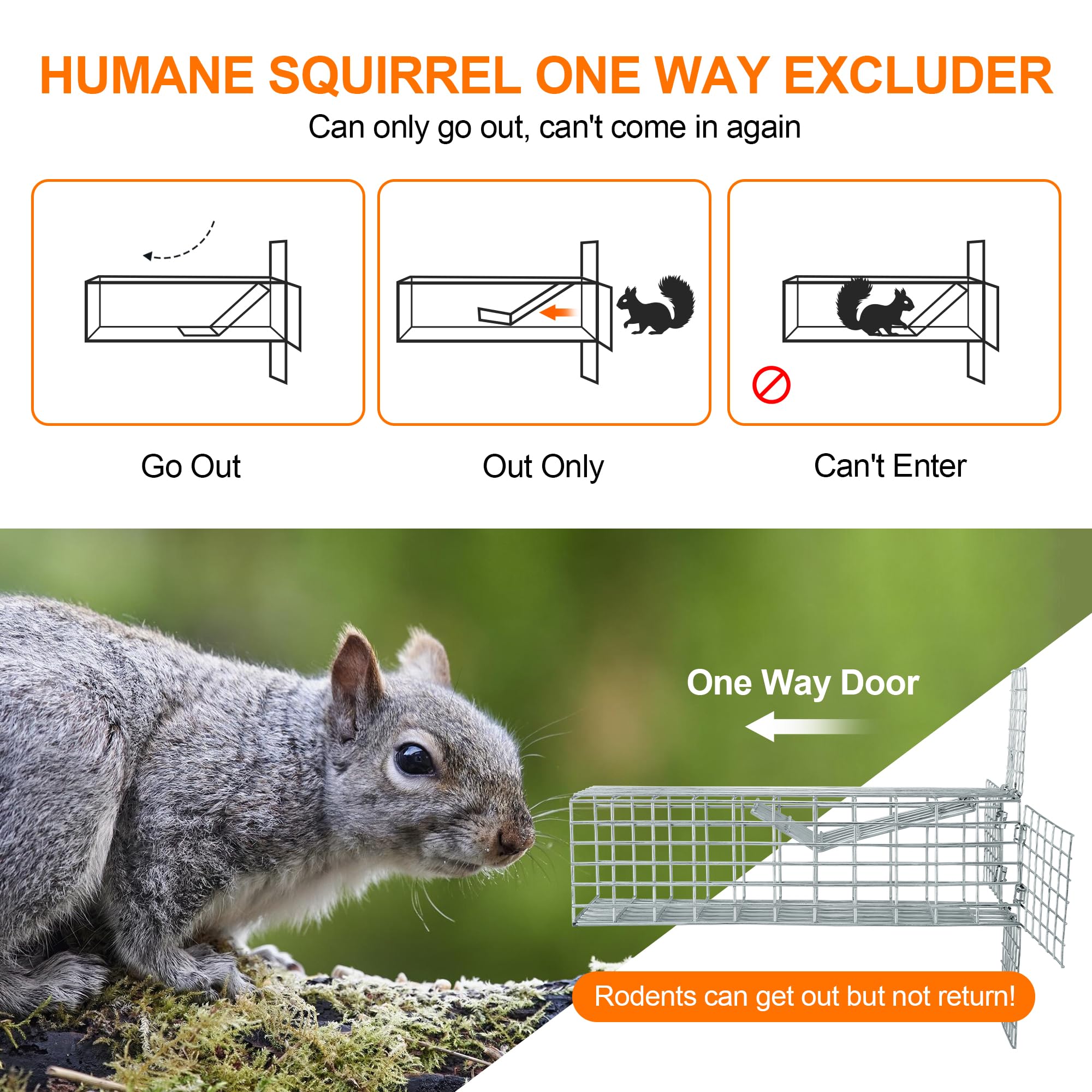 BKALEME one-way squirrel excluder door opening demonstrating humane exit and prevention of re-entry.