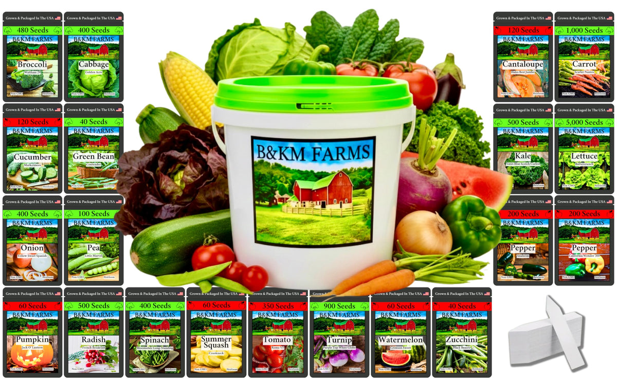 B&KM Farms Beginner Survival Seed Vault cover showcases a compact starter kit for home gardening.