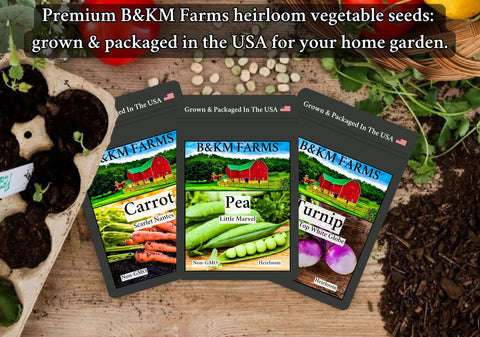 B&KM Farms seed storage capsule shows long-term viability and easy keeping.