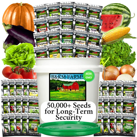 B&KM Farms Survival Seed Vault bucket secures seeds for long-term planting readiness