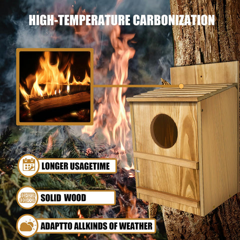 BKISVWCSop bottom-drainage-holes promote moisture control inside the box.