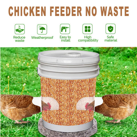 Bkotoo water cups 6pcs ready to supply steady poultry water.