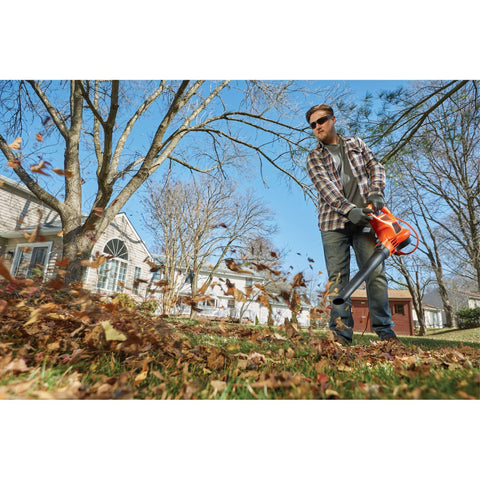 BLACK+DECKER BEBL7000 reusable bag for repeated yard cleanup.