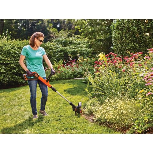 Black+Decker LSTE525 spool and charger included in the box.