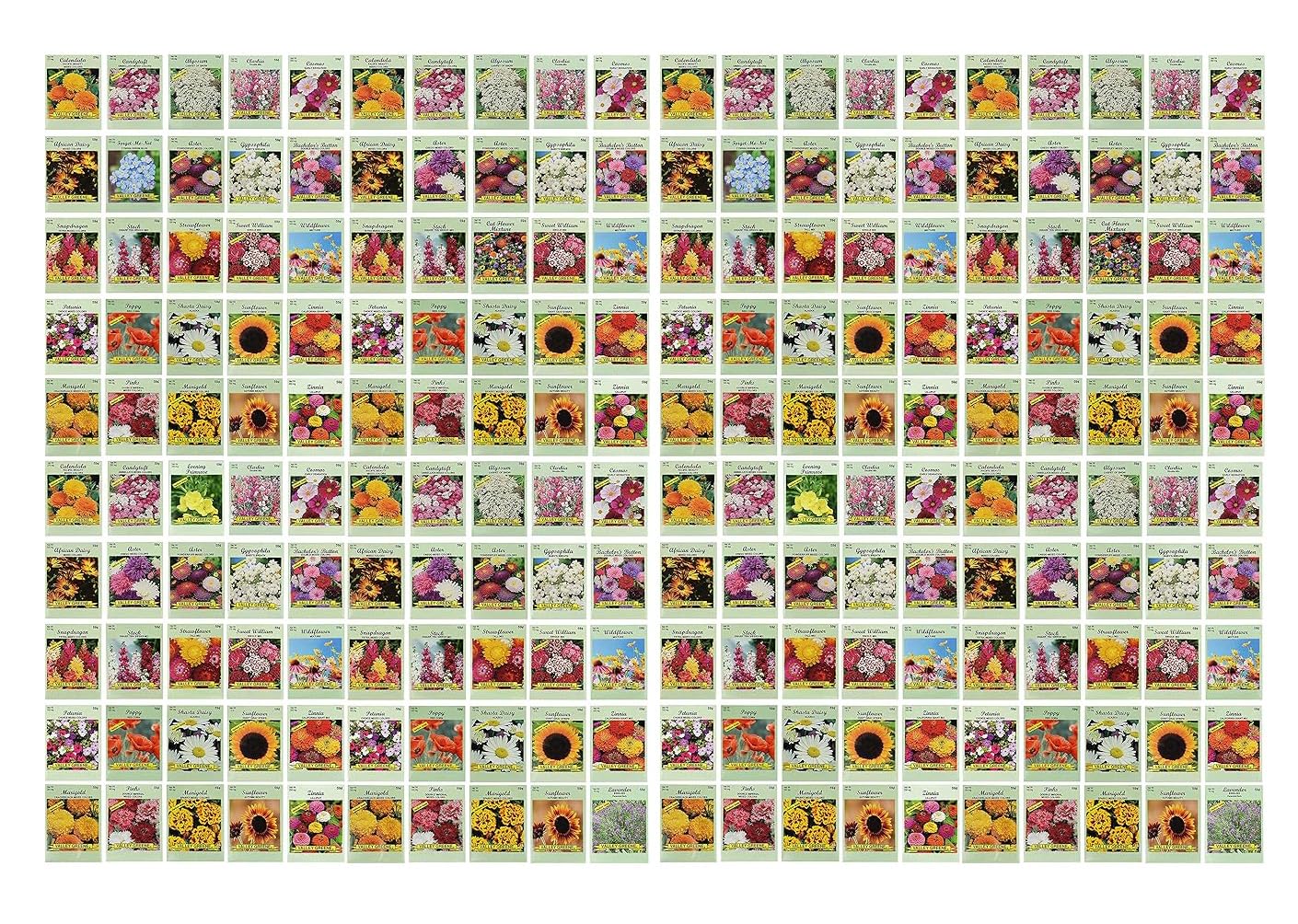 Black Duck Brand 200-seed packet set for vibrant beginner-friendly garden planning