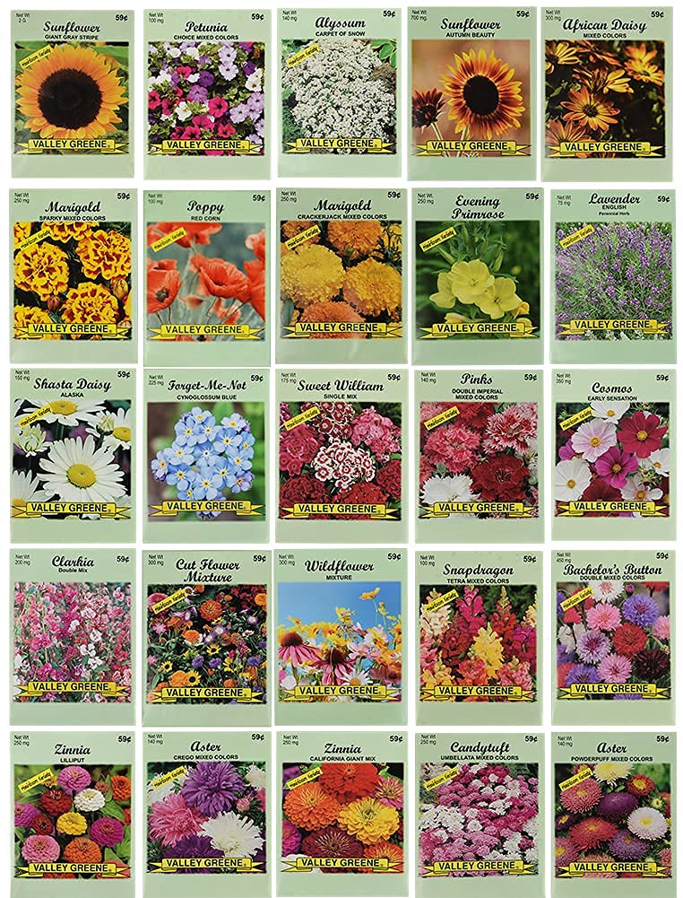 Black Duck Brand 25-seed packets arranged for a pollinator-friendly garden attracting bees and butterflies