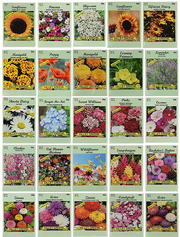 Black Duck Brand 25-seed packets arranged for a pollinator-friendly garden attracting bees and butterflies