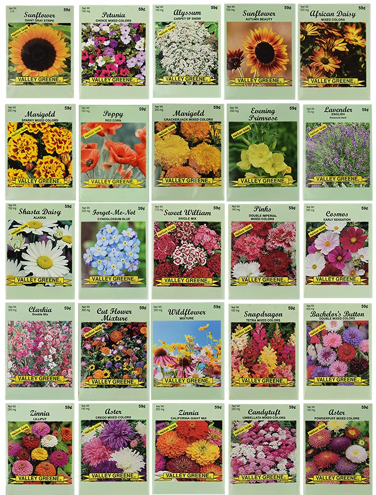 Black Duck Brand flower seed set packets on display, showcasing variety and premium quality for a vibrant garden.