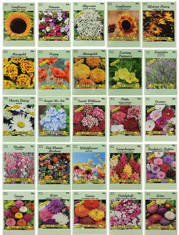 Black Duck Brand flower seed set packets on display, showcasing variety and premium quality for a vibrant garden.