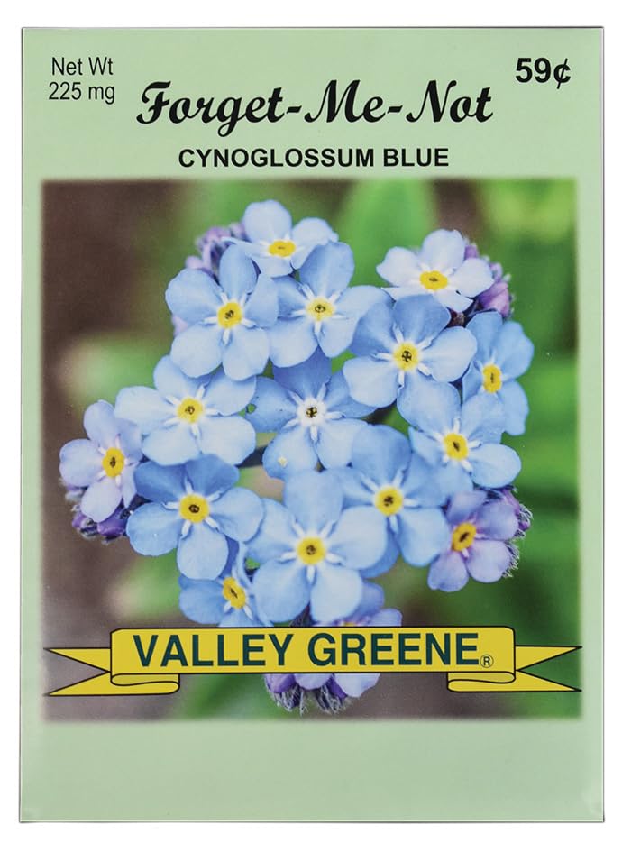Black Duck Brand forget-me-not seed packets arranged for a vibrant border in your garden