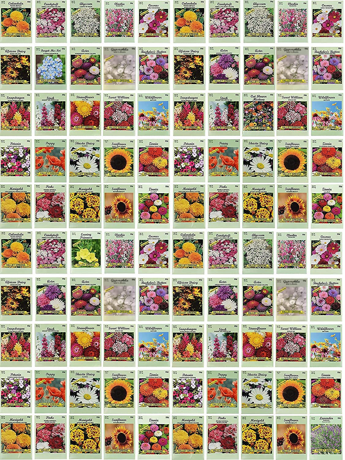Black Duck Brand seed packets front view highlighting bulk variety for classrooms