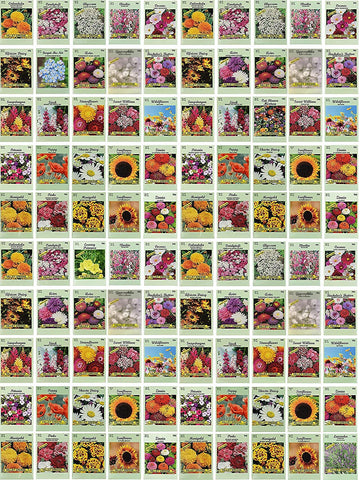 Black Duck Brand seed packets front view highlighting bulk variety for classrooms