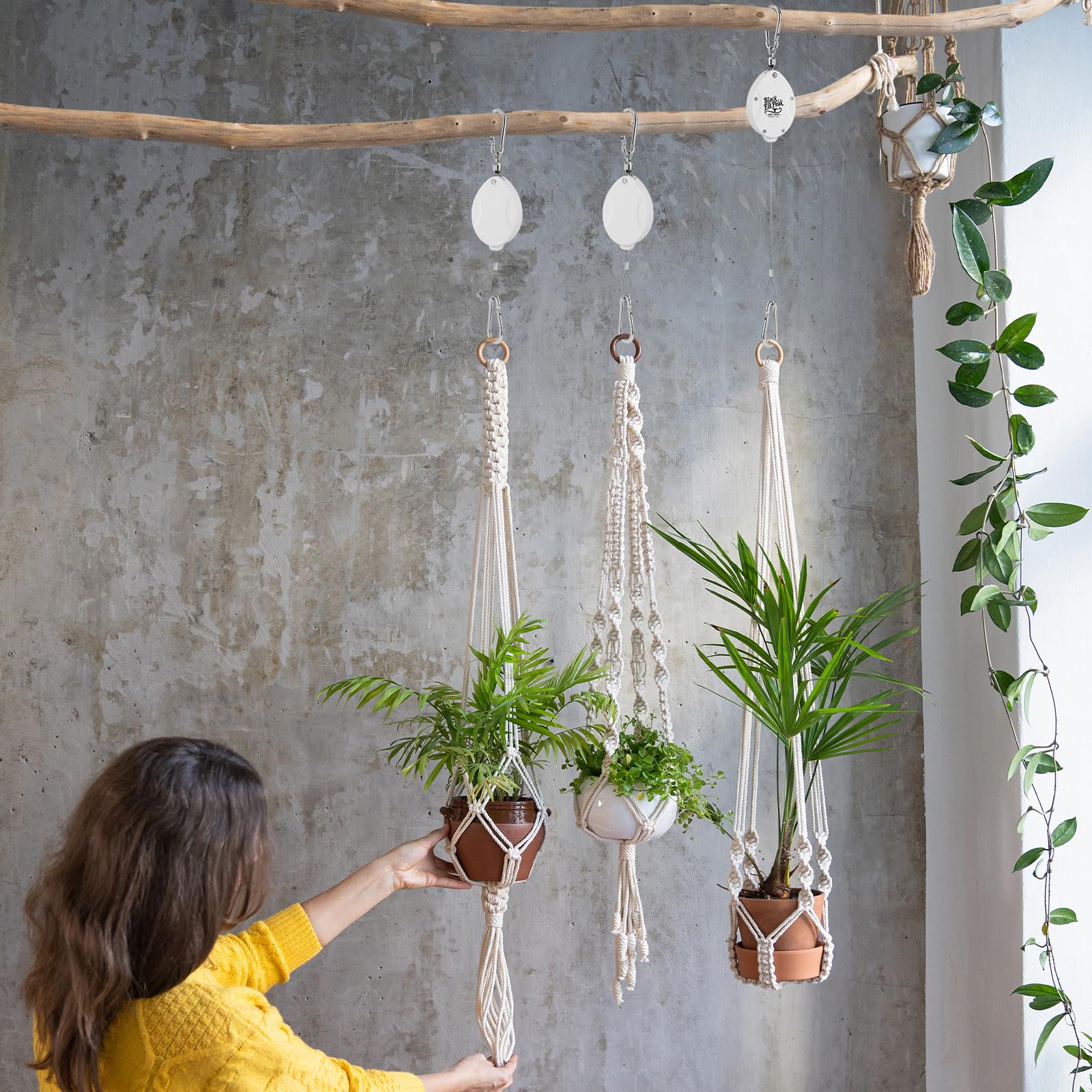 Black Elk Peak garden hanger with grow light supports neat, elevated setup.