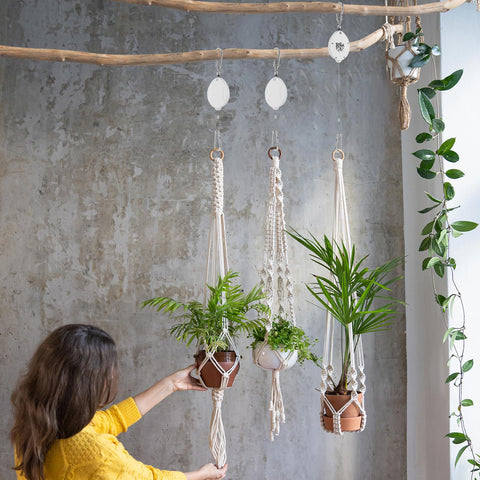 Black Elk Peak garden hanger with grow light supports neat, elevated setup.