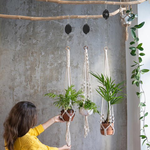 Perfect for hanging plants, bird feeders, or wind chimes outdoors by Black Elk Peak