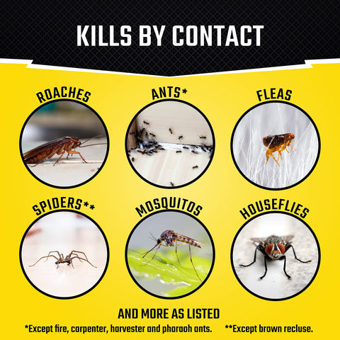 Black Flag Concentrated Fogger kills roaches and spiders on contact
