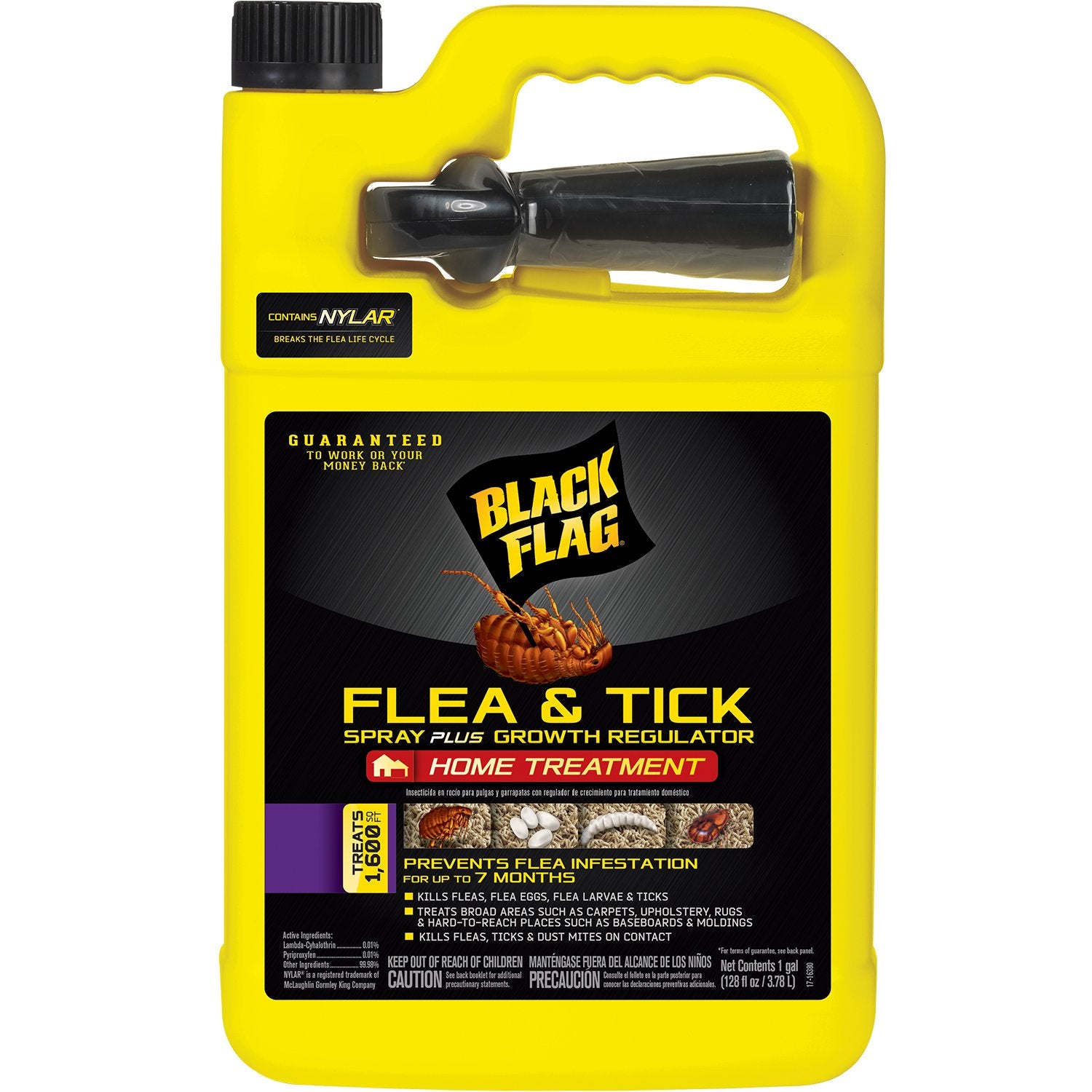 Black Flag Extreme Flea Killer bottle pour for easy indoor application on carpets