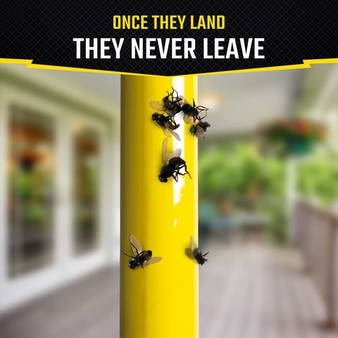 Black Flag Fly Stick replacement every three months.