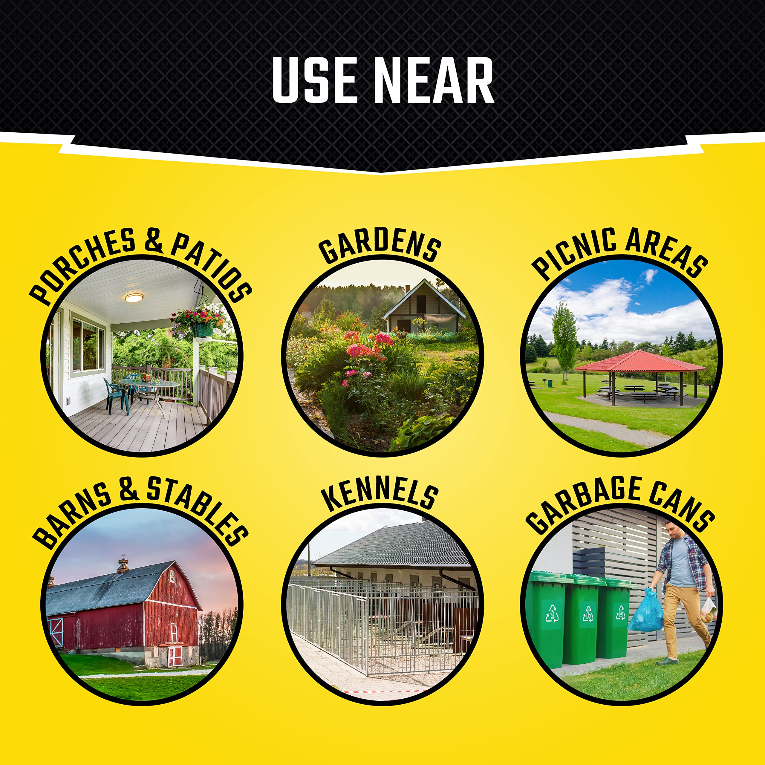 Black Flag Fly Stick traps landing insects without mess.