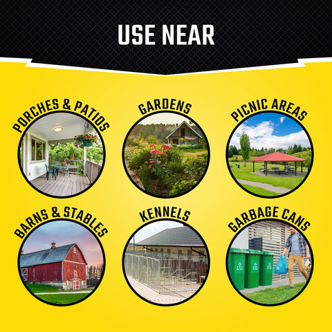 Black Flag Fly Stick traps landing insects without mess.