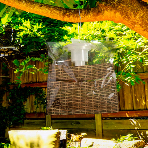 Hanging the Black Flag fly trap with included tie is quick and easy.