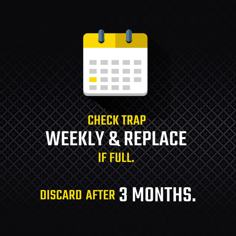 Black Flag trap easy disposal after use.