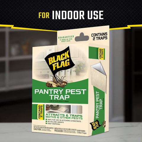 Black Flag pantry pest trap in a kitchen cabinet protecting dry foods.