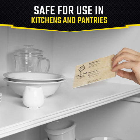 Black Flag trap placed in pantry corner near dried goods.