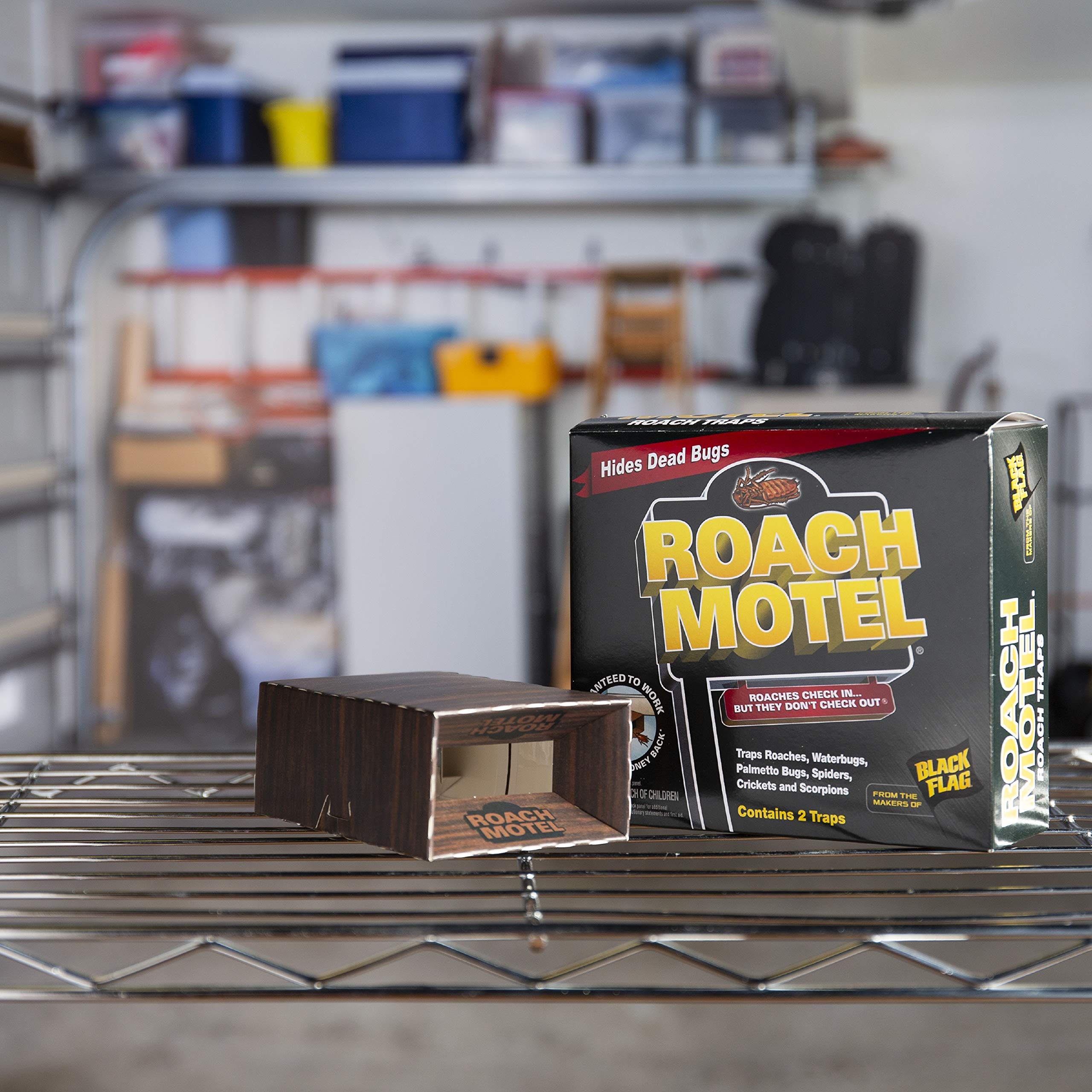 Black Flag Roach Motel simplifies cleanup after full capture.