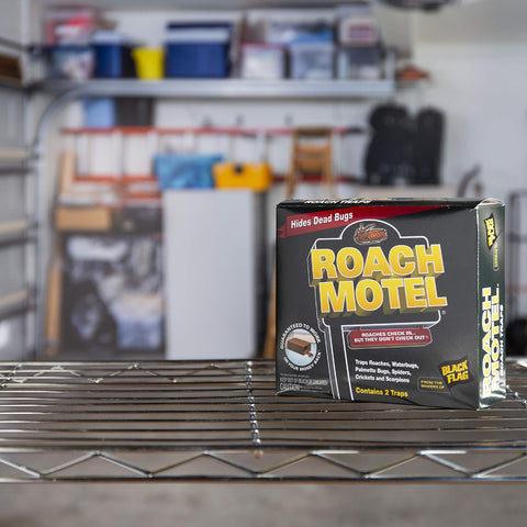 Black Flag Roach Motel Traps two-count-pack shows ready-to-deploy pest solution