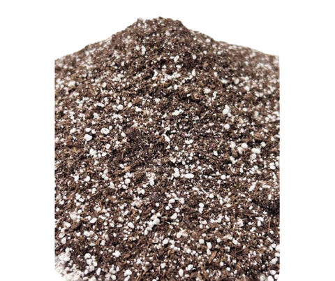 Black Gold Seedling Mix texture close-up showing uniform moisture absorption