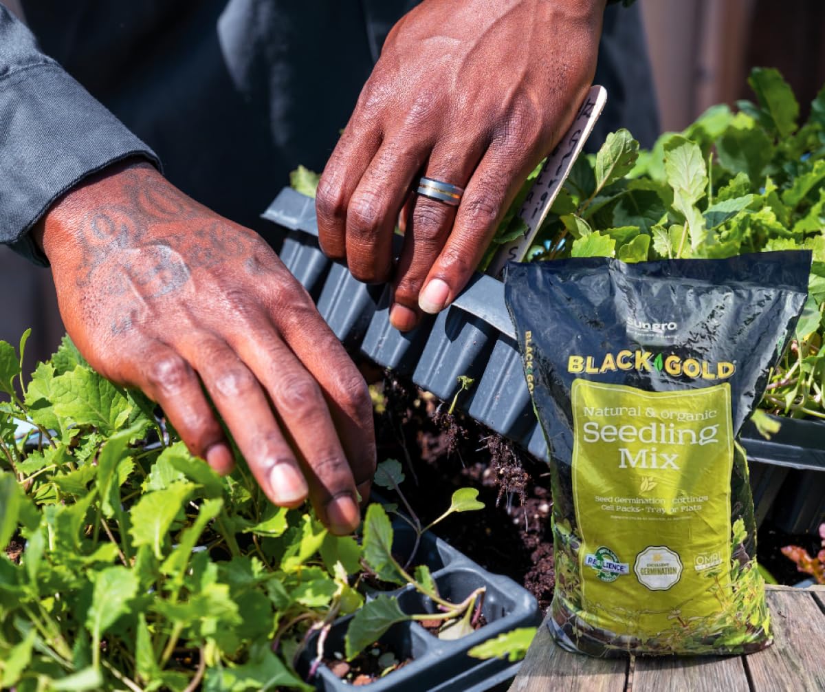 Black Gold Seedling Mix wetting-agent detail aiding even watering