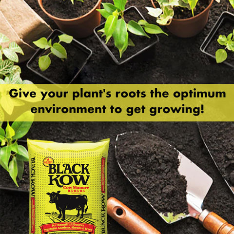 Potted plants receiving Black Kow for moisture
