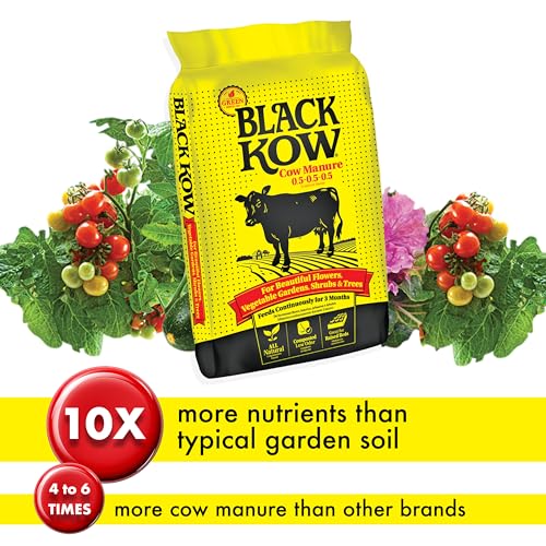 Applying Black Kow in raised beds for root support