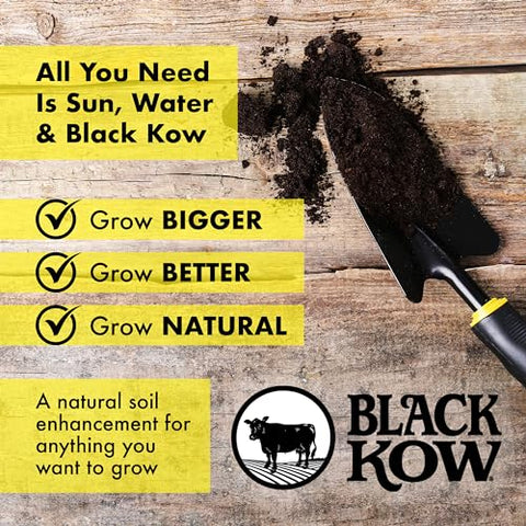 Sandy soil moisture retention with Black Kow