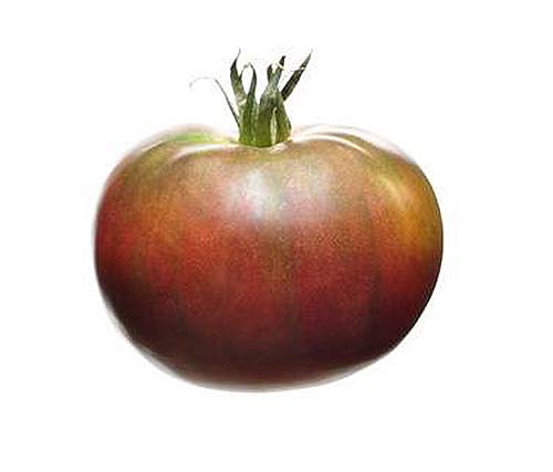 Close-up of Black Krim fruit with maroon shoulders for salads