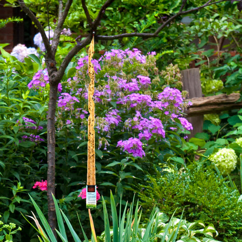 Black+Decker garden trap at work reduces nuisance buzzing.