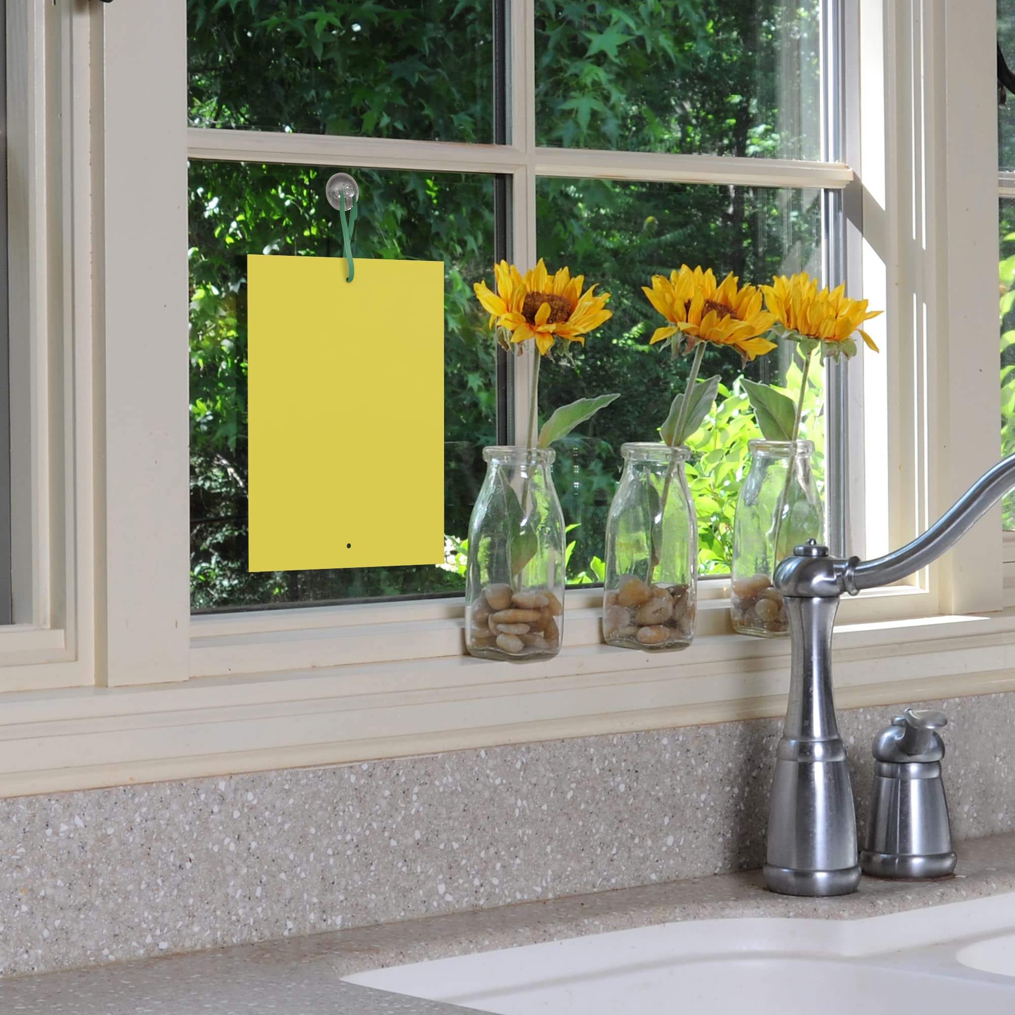 BLACK+DECKER long-lasting sticky strips suited for seasonal pest control