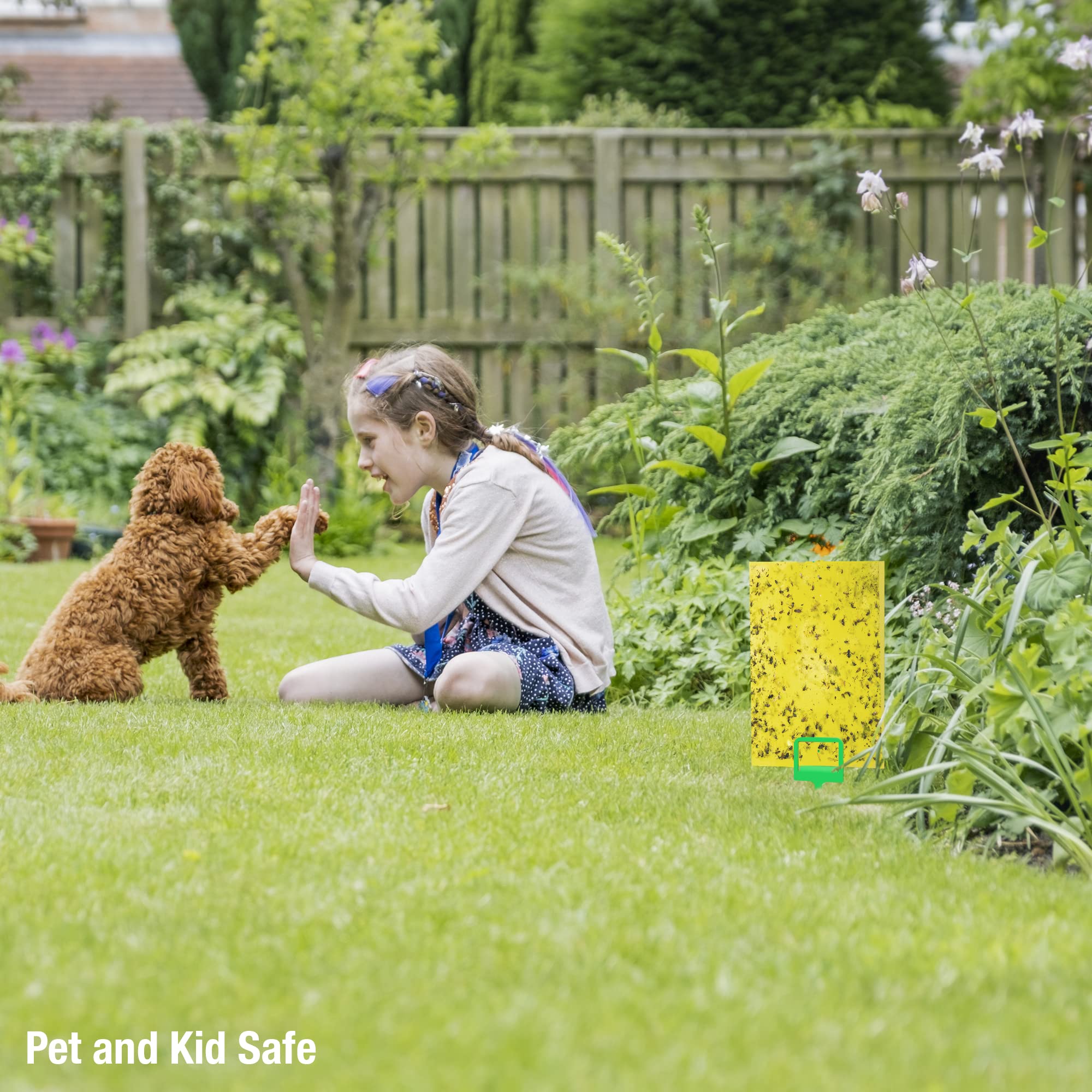 BLACK+DECKER pest traps designed for kitchen and garden environments