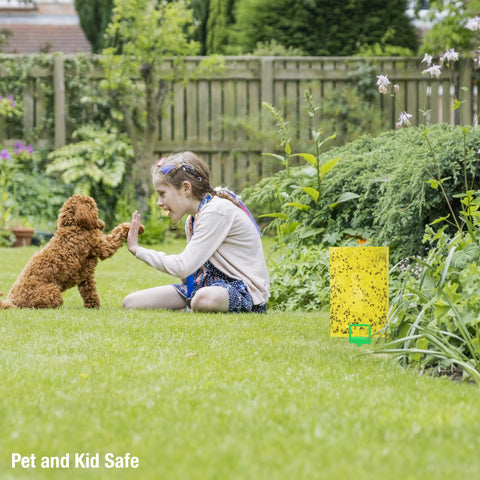 BLACK+DECKER pest traps designed for kitchen and garden environments