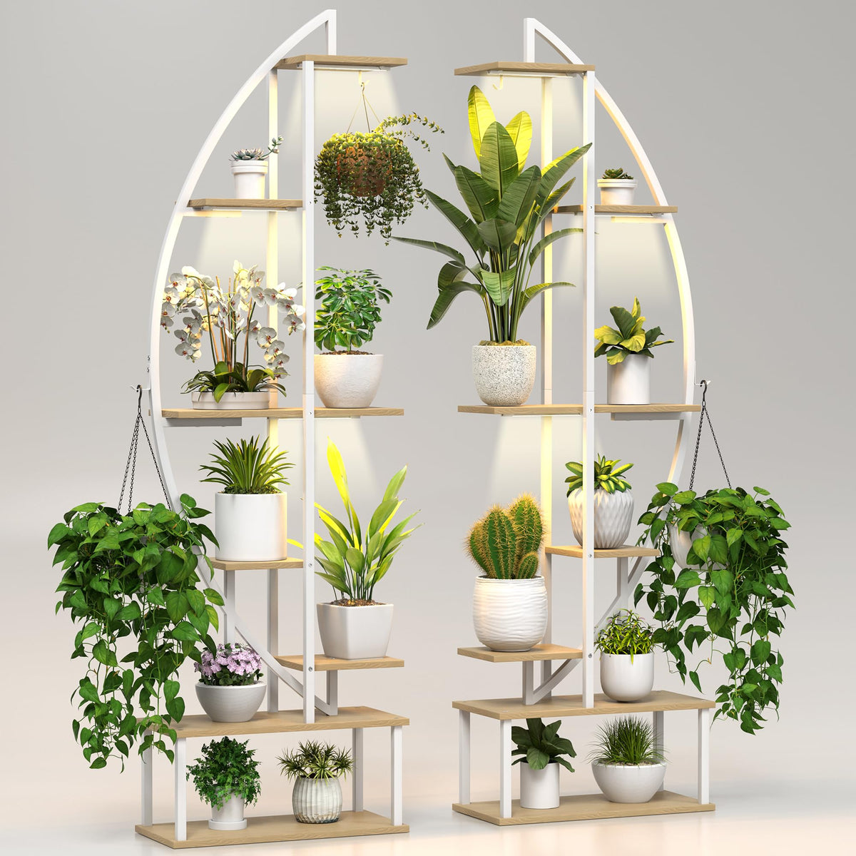 BLAZPATH half-moon plant shelf side A with built-in grow lights keeps tall indoor plants well lit