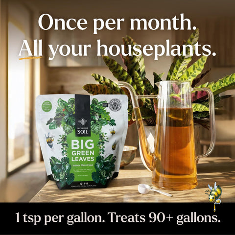 Bless Your Soil Big Green Leaves diluted solution ready for soil drench or foliar feed