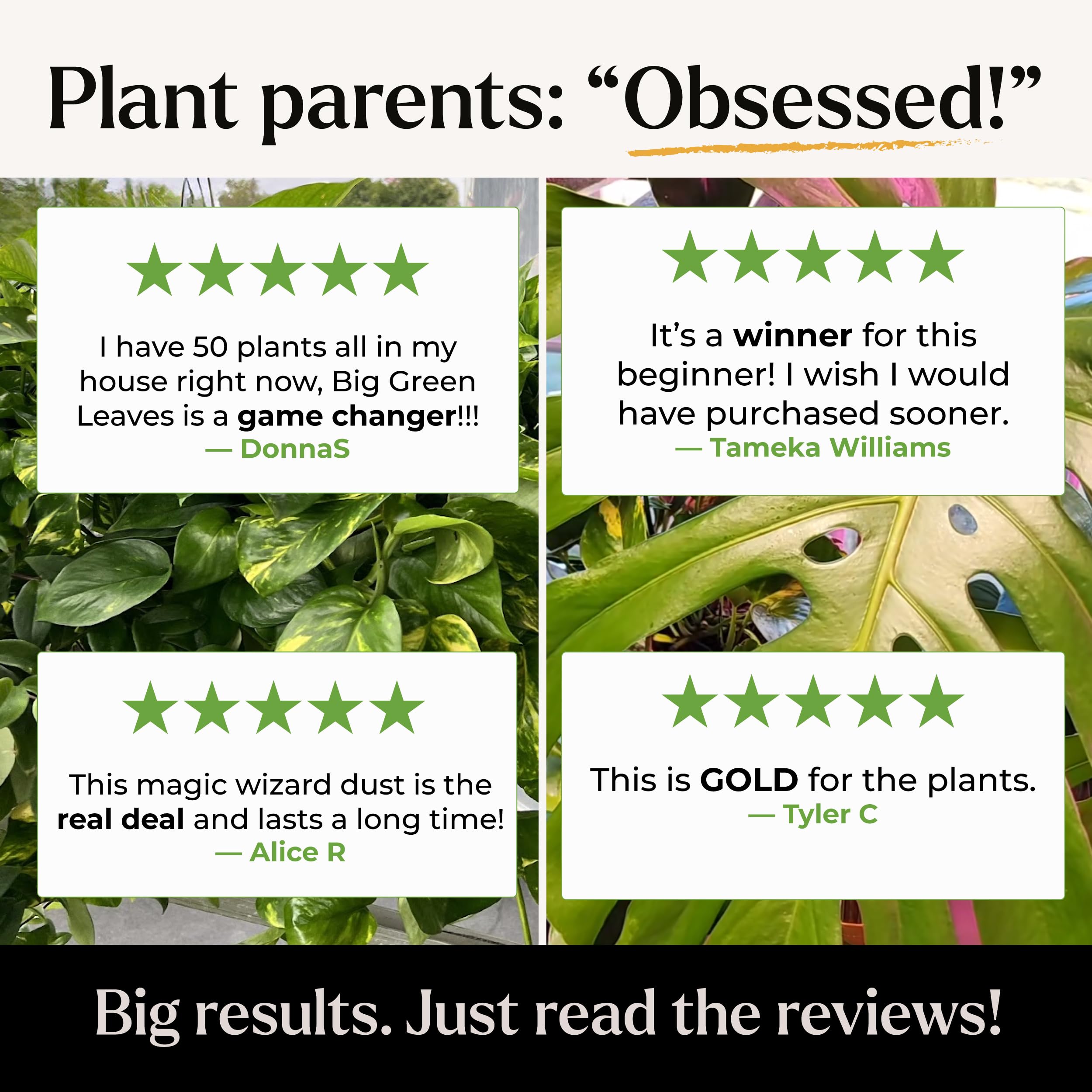 Bless Your Soil Big Green Leaves hydroponics compatibility for soilless systems