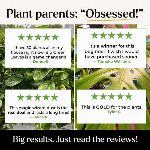 Bless Your Soil Big Green Leaves hydroponics compatibility for soilless systems